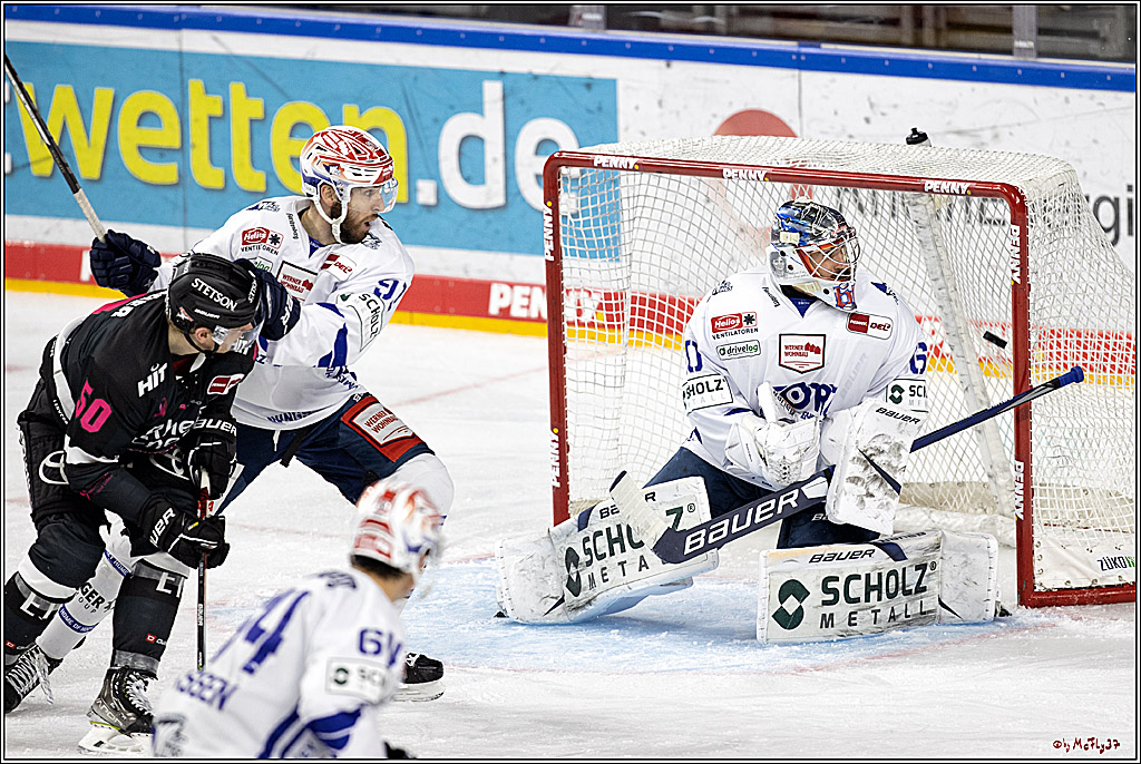 PENNY DEL;  Koelner Haie - Schwenninger Wild Wings; Koeln, 08.10.2021
